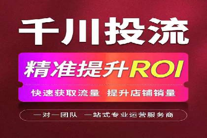 SEM推广案例：揭秘高ROI背后的策略与实践